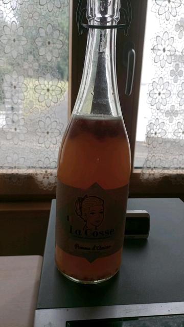 une bouteille de kombucha en refermentation
