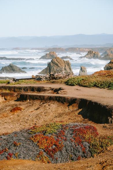 A panoramic view of rocky coastline with vibrant succulents, waves rolling in, and distant hills under a bright sky.