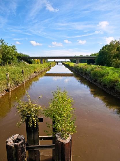 Another canal, this time with brown water. In the foreground, new trees are growing from upright tree trunks. There are bushes to the left and right of the canal. In the background, there is a road bridge, behind which is another bridge (for trains). And all this under a blue sky with pretty veil clouds.