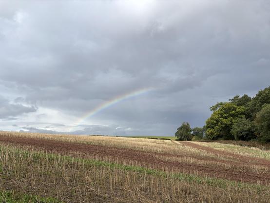 A rainbow against a grey sky over a brown field.