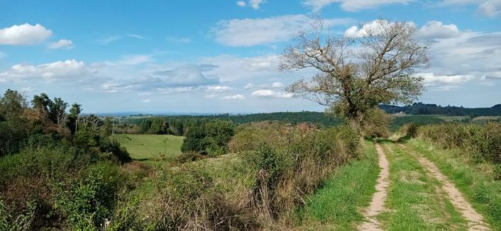 Un chemin borde les prés. La vue est dégagée