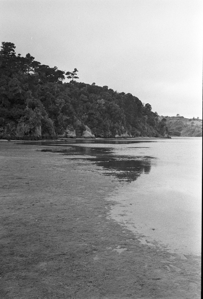 A black and white photo of beach, forested shore and a strip of water shining both dark and light by virtue of chaotic reflection.