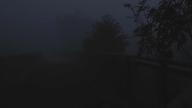 Dichter Nebel, Büsche und ein Geländer sind zu erahnen