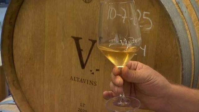 📽️ La Terra Alta recupera els tradicionals vins brisats, cada cop més de moda (video: 00:01:52)