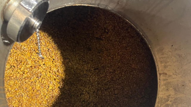 Els vins brisats s'elaboren macerant el most amb les pells, com si fossin negres (3Cat)