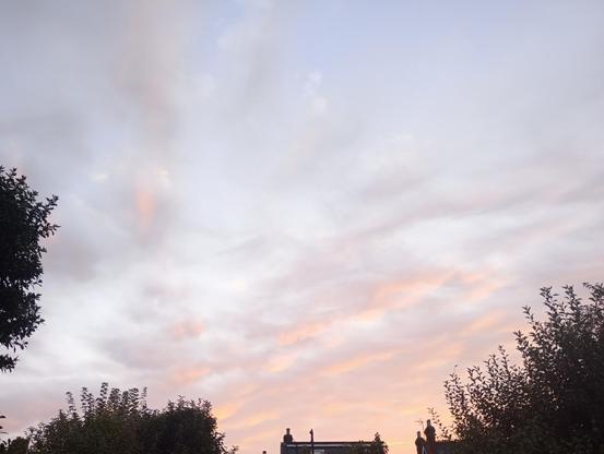 Pink sunrise
