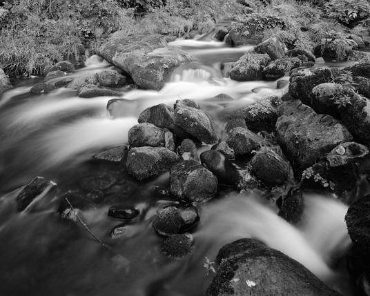 One thing

#Chamonix #C45F-2 #4x5 #Ilford #HP5+ #XT-3 #analog #shootfilm #film #photography #BelieveInFilm