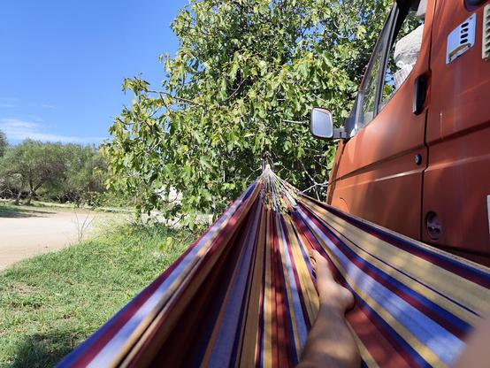 Parallel zu einem roten Camper an einem Feigenbaum aufgehängte bunt gestreifte Hängematte