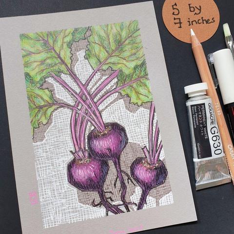 A small original drawing of purple beetroot with stalks and green leaves. The drawing is on grey toned pastel paper.
An original art work
Colour pencil and mixed media on acid free toned artist paper
5 by 7 inches (12.7 by 17.8 cm).
Sold unframed
