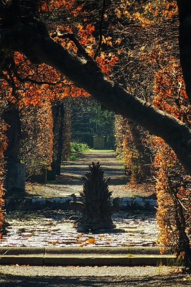 A vertical, eye-level shot of a sun-drenched pathway in an autumnal garden. The path is lined with manicured hedges and tall, bare trees with scattered orange leaves. A stone statue of a fountain is in the foreground, with a large, darker branch arching across the top of the frame. The path leads to a statue in the distance, bathed in sunlight.