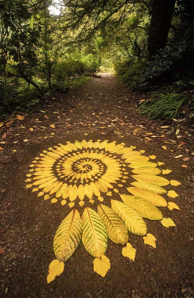 A spiral pattern made from yellow leaves on a forest path, surrounded by lush greenery.
