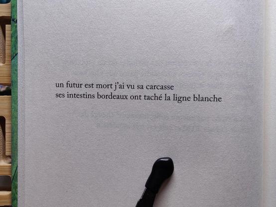 Photo d'une page avec deux lignes :

"un futur est mort j’ai vu sa carcasse
ses intestins bordeaux ont taché la ligne blanche"