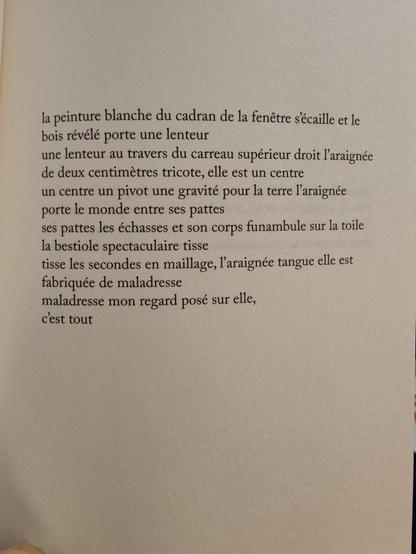 Photo d'une page, où est écrit :

la peinture blanche du cadran de la fenêtre s'écaille et le
bois révélé porte une lenteur
une lenteur au travers du carreau supérieur droit l'araignée
de deux centimètres tricote, elle est un centre
un centre un pivot une gravité pour la terre l’araignée
porte le monde entre ses pattes
ses pattes les échasses et son corps funambule sur la toile
la bestiole spectaculaire tisse
tisse les secondes en maillage, l'araignée tangue elle est
fabriquée de maladresse
maladresse mon regard posé sur elle,
c'est tout