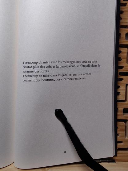 Photo d'une page où est écrit :

à beaucoup chanter avec les mésanges nos voix ne sont
bientôt plus des voix et la parole s'oublie, s'étouffe dans le
vacarme des forêts
à beaucoup se taire dans les jardins, sur nos cernes poussent des boutures, nos cicatrices en fleurs