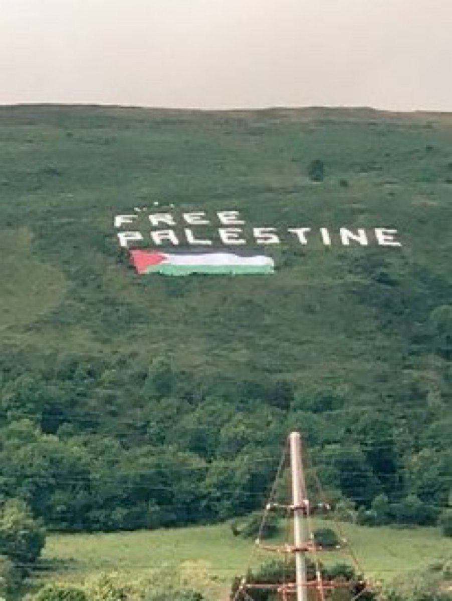 FREE PALESTINE IN IRELAND