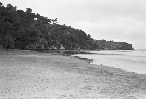 A beach with steep coastline, heavily forested.  Plenty of fine sand and water that reflects bright sky and dark foliage.
