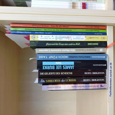 foto einiger bücher in einem regalfach; zu besseren lesbarkeit der titel auf den buchrücken wurde das foto um 90 grad nach links gedreht