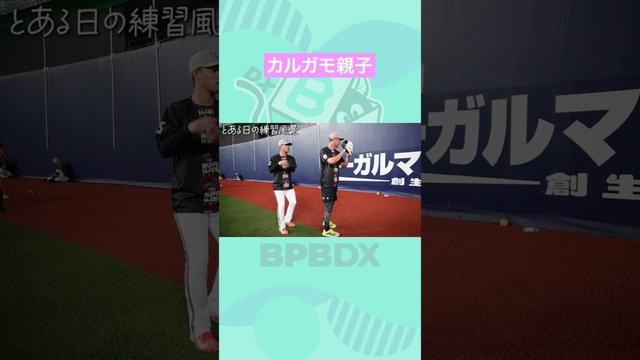 とある日の練習風景~カルガモ親子~#岩嵜翔 #才木海翔 #BPBDX #shorts