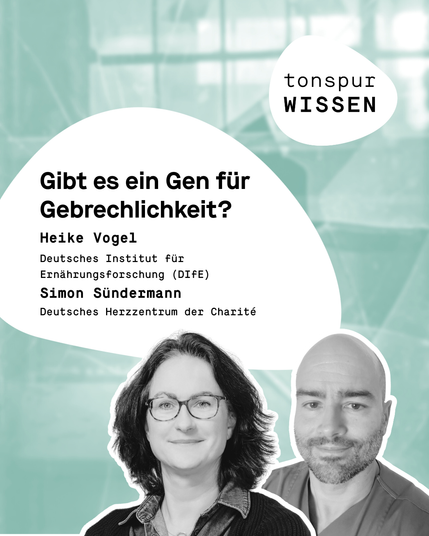 Grafik mit ausgeschnittenem, Schwarz-Weiß-Foto von Heike Vogel und leicht versetzt dahinter Simon Südermann. Die Portraits sind weiß umrandet. Über ihren Köpfen ist eine Art Sprechblase in weiß mit schwarzer Schrift: „Gibt es ein Gen für Gebrechlichkeit? Heike Vogel Deutsches Institut für Ernährungsforschung (DIfE) Simon Sündermann Deutsches Herzzentrum der Charité“. Im Hintergrund ist ein unscharfes, hellblaues Bild einer zerbrochenen Fensterschreibe zu sehen. Rechts oben in der Grafik steht "tonspur WISSEN" auf einer weißen, ründlichen Form (Monade).