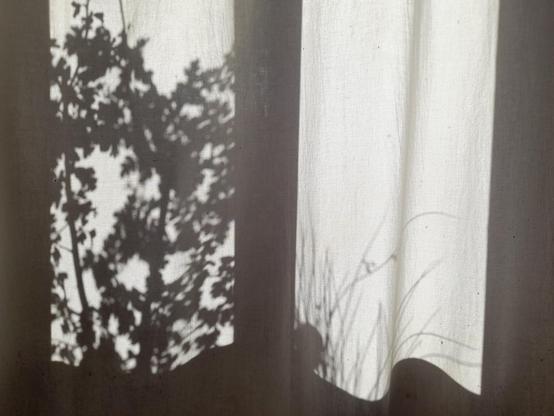 The lower part of a window in backlight. The white coton curtain shows the shadows of a small hawthorn bush at the left and some grass at the right.