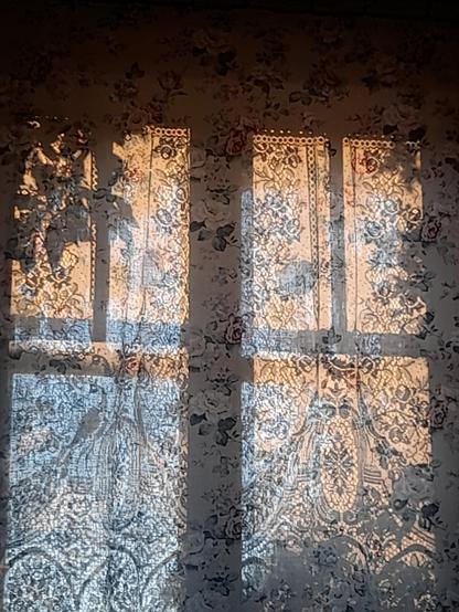 Backlight of sunset with an orange glow in the upper part and blueish grey clouds in the lower part. The window panes behind the curtains have wooden slats as dividers in the upper part. Lace panel curtains conjure up a shadow pattern with peacocks in Art Nouveau style on the overcurtain with painted rose blossoms. In the upper edges some shadows of leaves.