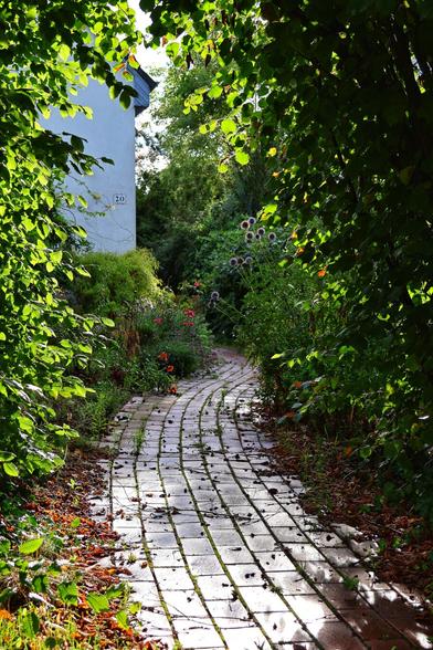A narrow, curving garden path made of weathered brick or paving stones, wet from rain and glistening in the sun, leading away from the camera. The path is bordered on both sides by lush, green foliage that creates a tunnel-like effect, with the leaves of overhanging branches dappling the light. A few leaves from the surrounding trees lie scattered on the path. In the background, to the left, a light-coloured house with the number "20" is partially visible. Further down the path, various plants with flowers and seed heads, are growing.