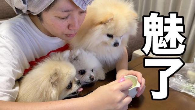 枝豆に魅了された3姉妹ポメラニアンはこうなりました