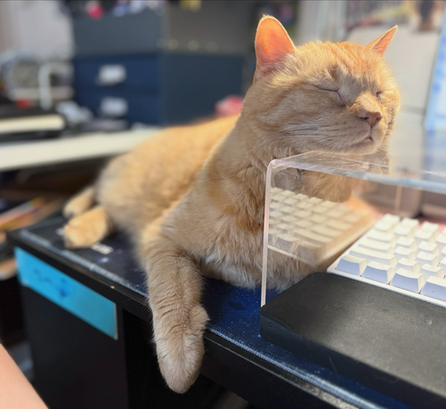 An orange cat rests its head on a shelf that is over a computer keyboard.