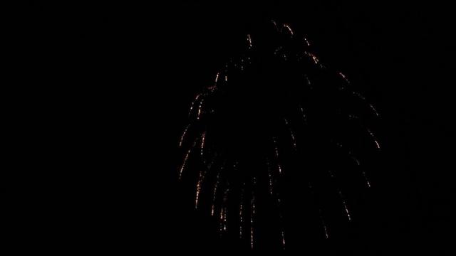 2025年3月29日 上牧町さくら祭り