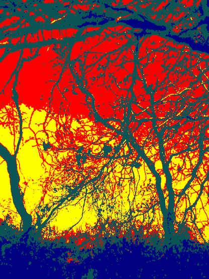 Stylized image with flat colors, depicting gnarly tree branches and vines, colored dark blue and cyan, against a background of solid yellow and solid red, with a glitchy, pixelized look