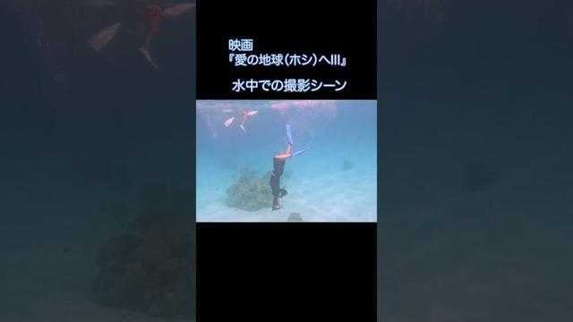 【慶良間・小笠原】 映画「愛の地球ホシへⅡ,Ⅲ」水中撮影シーン 海響(MIKI)