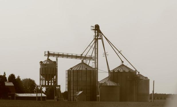 A series of silos of various heights in a cluster together.