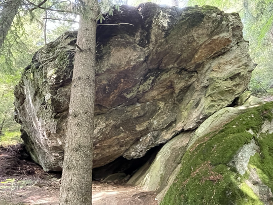 Monolithischer Bayerwaldgneisblock, haushoch, verkippt auf einem rechts aus dem Boden ragenden Fels, oben mit Moosen bedeckt. Im Vordergrund ein Fichtenstamm, der oben und unten im Bild abgeschnitten nach oben ragt. Episch.