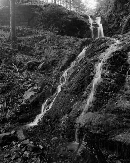 Bad dreams

#Chamonix #C45F-2 #4x5 #Ilford #HP5+ #XT-3 #analog #shootfilm #film #photography #BelieveInFilm