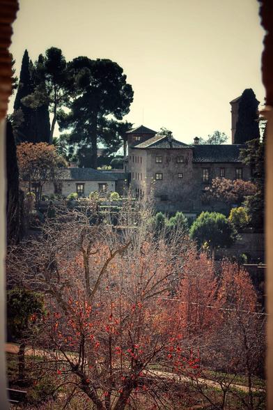 A photograph of the Generalife Palace in Granada, Spain, taken from a high vantage point. The foreground is dominated by the bare, auburn branches of a tree in autumn. In the middle ground, there is a large, grey stone building with red-tiled roofs and small windows. The surrounding hills are covered with trees and lush greenery. The image is framed on the left and right by the shadowed edge of a window or archway. The overall mood is serene and historical.