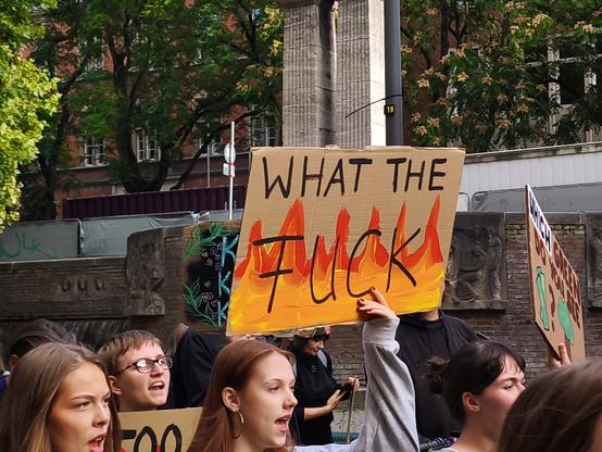 Menschen mit Demo Schild: What the FUCK