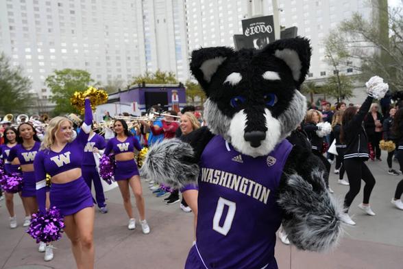 Download app from appStore