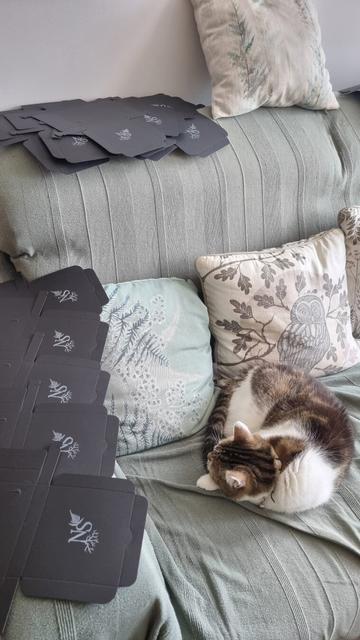 English On a sofa, there are black cardboard boxes that have not yet been assembled, with a white NS logo. There is a cat sleeping next to them and forest-themed cushions.
Français Sur un canapé, des boîtes en carton noir pas encore montées avec un logo blanc NS. Il y a un chat qui dort à côté et des coussins sur le thème de la forêt.