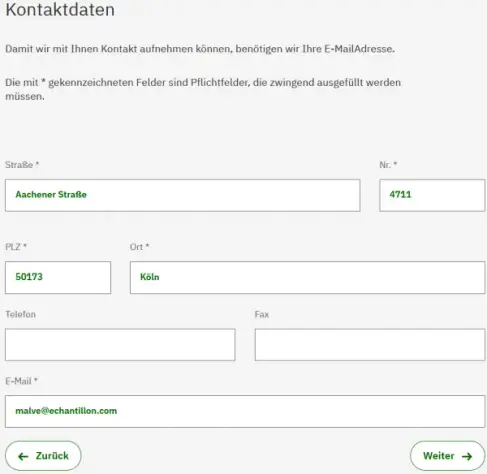 Formular zur Eingabe von Kontaktdaten mit Feldern für Straße, PLZ, Ort, Telefon, Fax und E-Mail. Die Pflichtfelder sind beispielhaft ausgefüllt. Im Unteren Bereich sind Schaltflächen für 'Zurück' und 'Weiter'.