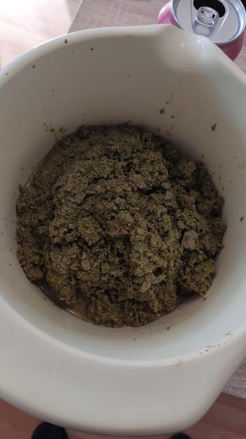 A bowl full of wet hops