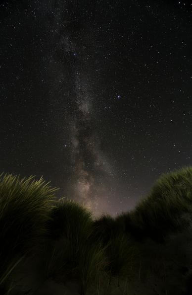Dunes at night. There's milk in the back.