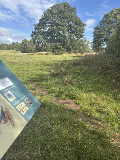 View of Parliament Piece.  Owned by the Open Spaces Society and leased to the Wildlife Trust.