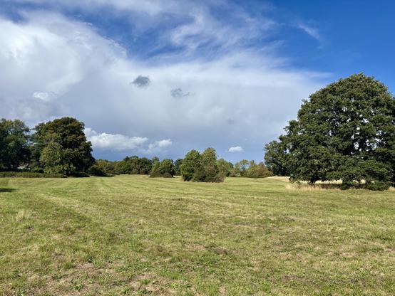 Beautiful Parliament Piece in the sun.