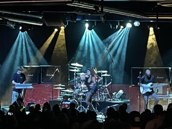 Punkrockband Sexschweiss auf der Bühne