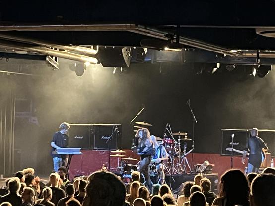 Punkrockband Sexschweiss auf der Bühne