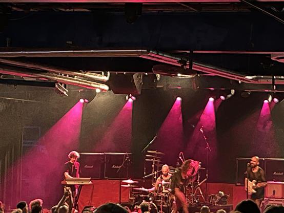 Punkrockband Sexschweiss auf der Bühne