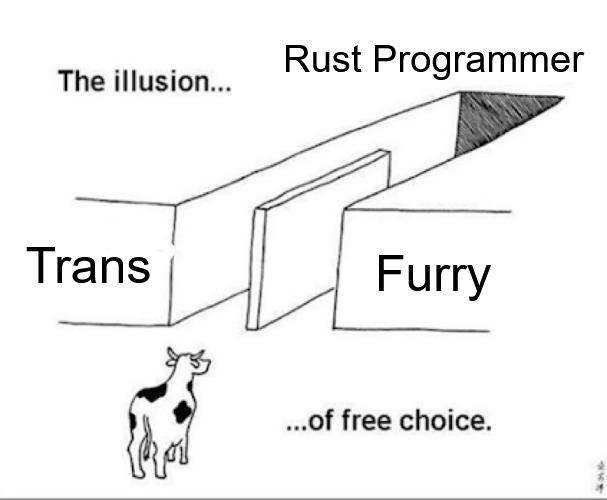 The "The illusion of free choice" cow meme. One opening says "Trans", the other says "Furry", but both lead to "Rust Programmer".