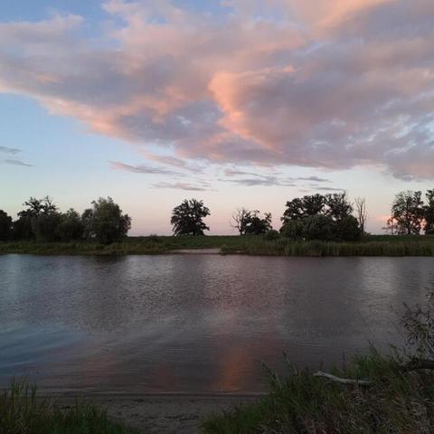 Kuhlhausen, river Havel, sunset. Water mirroring copper &amp; grey clouds. Cane and trees on other river side appear almost like paper cutouts.