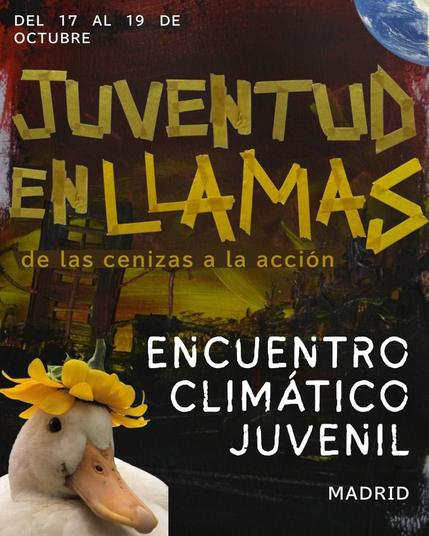 Juventud en llamas