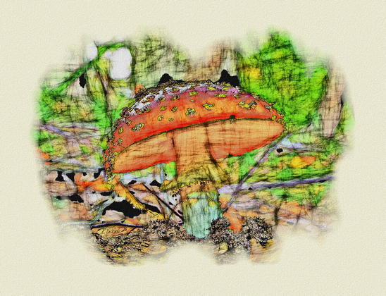 Bearbeites Foto das nun aussieht wie eine Zeichnung: Ein Fliegenpilz aus der Froschperspektive.

Edited photo that now looks like a drawing: A fly agaric mushroom from a worm's-eye view.